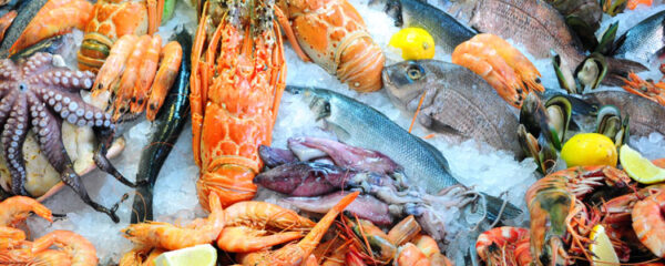 fruits de mer